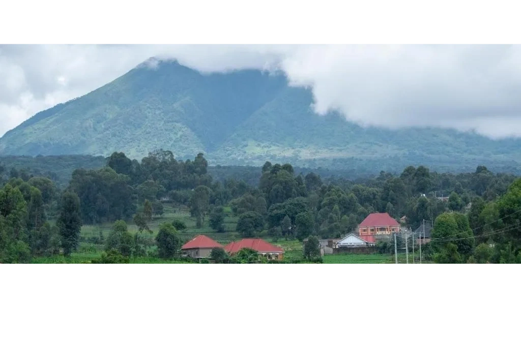 Misty green highlands near Mgahinga Gorilla National Park